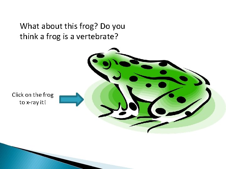 What about this frog? Do you think a frog is a vertebrate? Click on