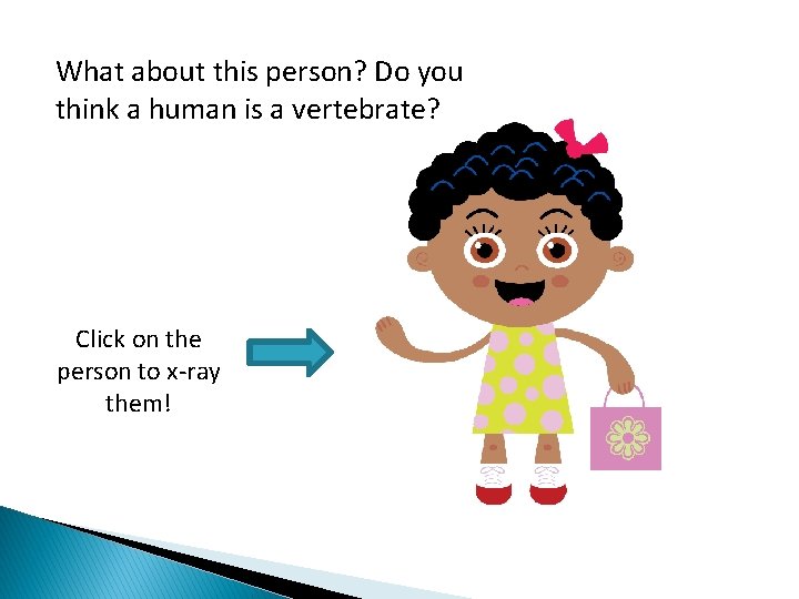 What about this person? Do you think a human is a vertebrate? Click on