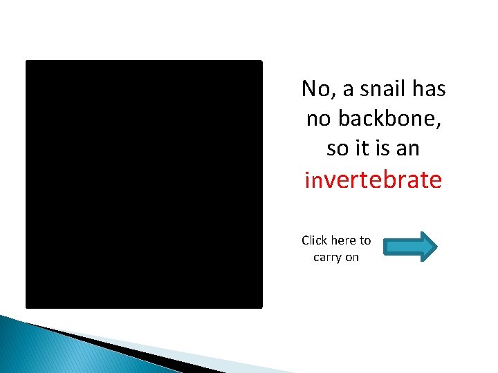 No, a snail has no backbone, so it is an invertebrate Click here to