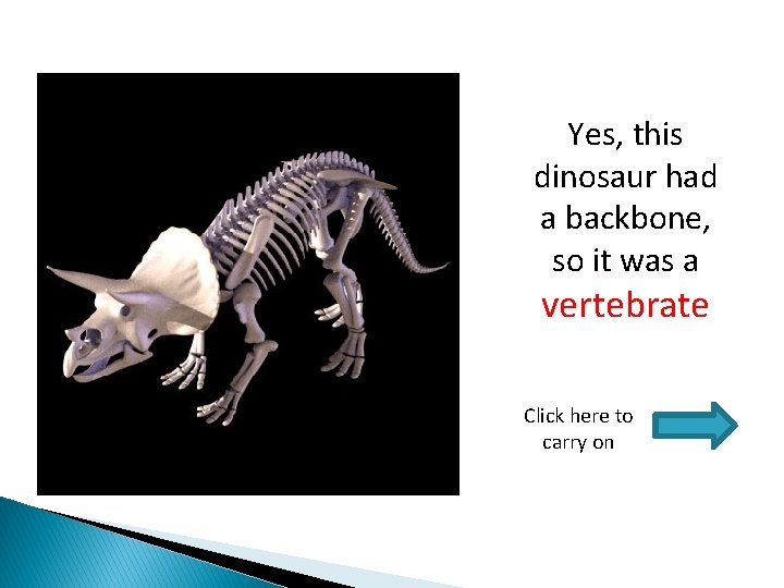 Yes, this dinosaur had a backbone, so it was a vertebrate Click here to