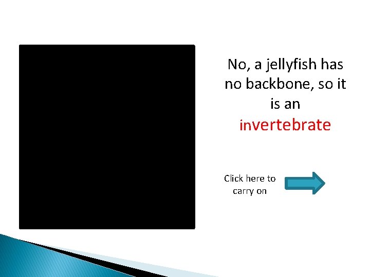 No, a jellyfish has no backbone, so it is an invertebrate Click here to