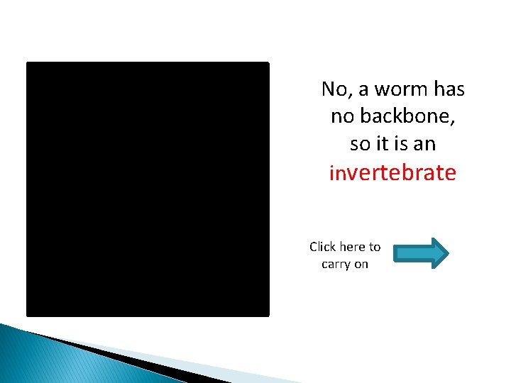 No, a worm has no backbone, so it is an invertebrate Click here to