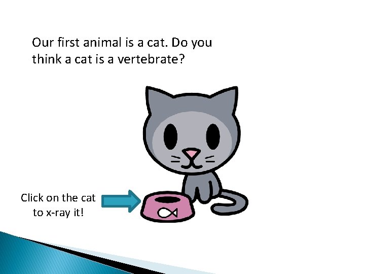 Our first animal is a cat. Do you think a cat is a vertebrate?