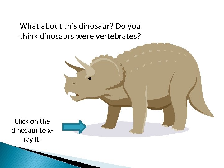 What about this dinosaur? Do you think dinosaurs were vertebrates? Click on the dinosaur