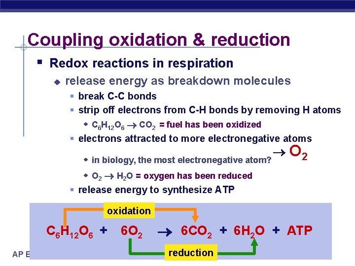 Coupling oxidation & reduction § Redox reactions in respiration u release energy as breakdown