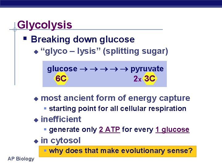 Glycolysis § Breaking down glucose u “glyco – lysis” (splitting sugar) glucose pyruvate 2