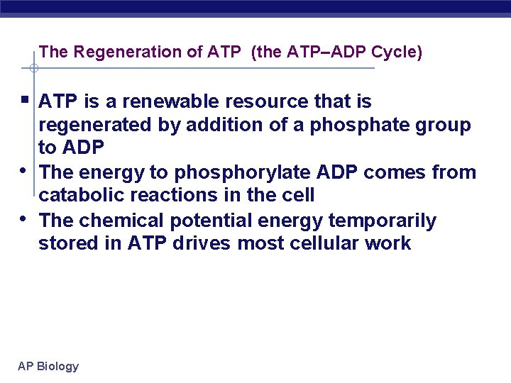 The Regeneration of ATP (the ATP–ADP Cycle) § ATP is a renewable resource that