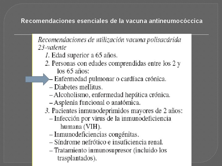 Recomendaciones esenciales de la vacuna antineumocóccica 