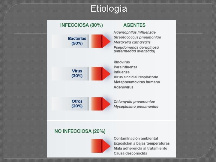 Etiología 