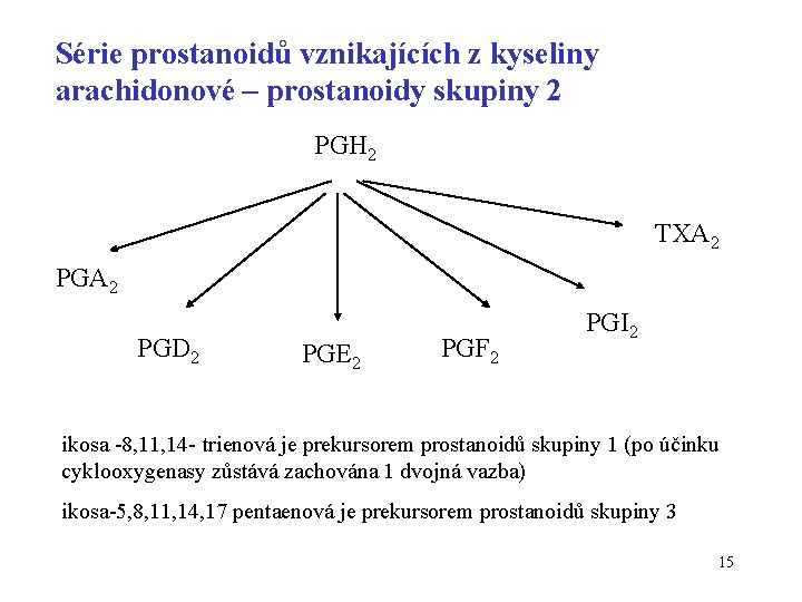 Série prostanoidů vznikajících z kyseliny arachidonové – prostanoidy skupiny 2 PGH 2 TXA 2