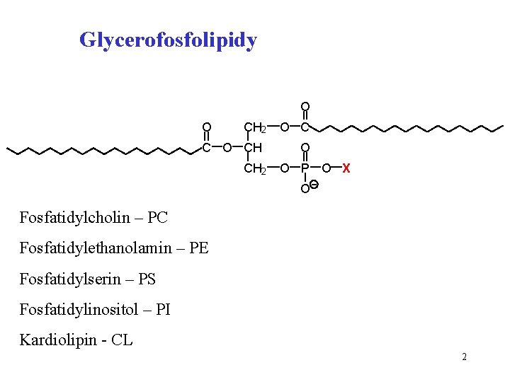 Glycerofosfolipidy O O CH 2 C O CH CH 2 O C O O