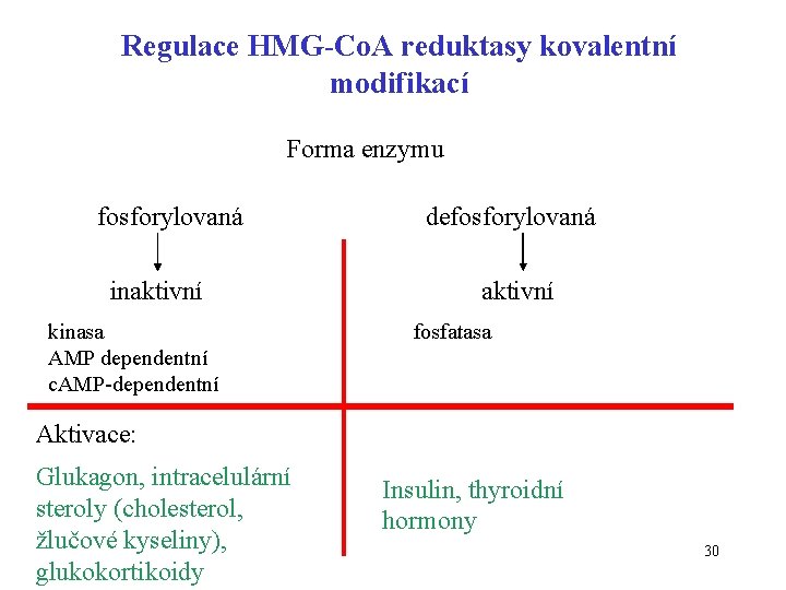 Regulace HMG-Co. A reduktasy kovalentní modifikací Forma enzymu fosforylovaná inaktivní kinasa AMP dependentní c.