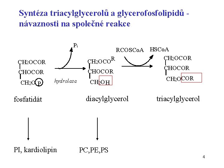 Syntéza triacylglycerolů a glycerofosfolipidů návaznosti na společné reakce Pi CH 2 OCOR CH 2