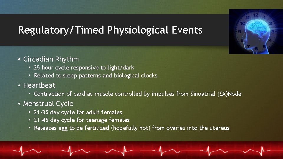 Regulatory/Timed Physiological Events • Circadian Rhythm • 25 hour cycle responsive to light/dark •