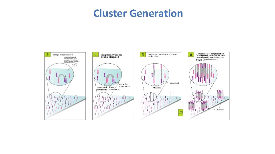 Cluster Generation 