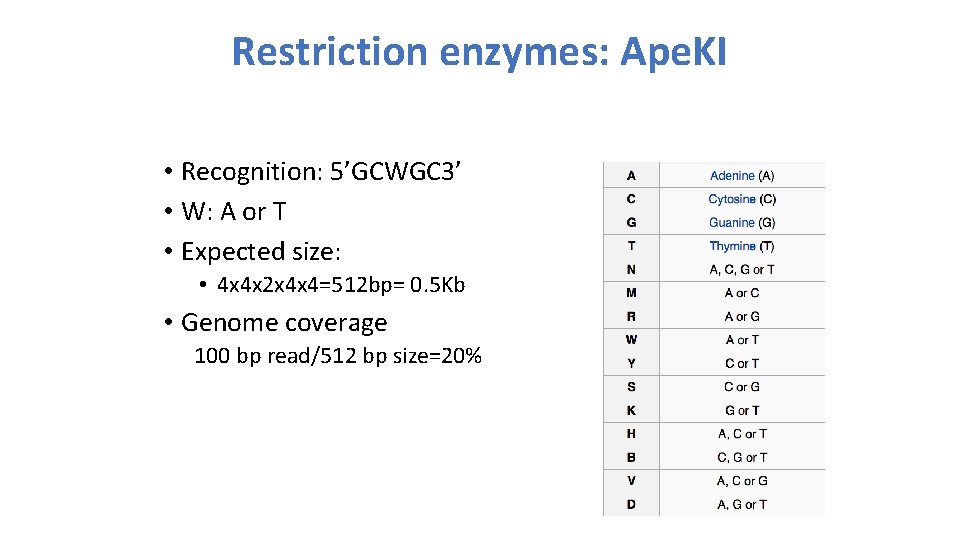 Restriction enzymes: Ape. KI • Recognition: 5’GCWGC 3’ • W: A or T •