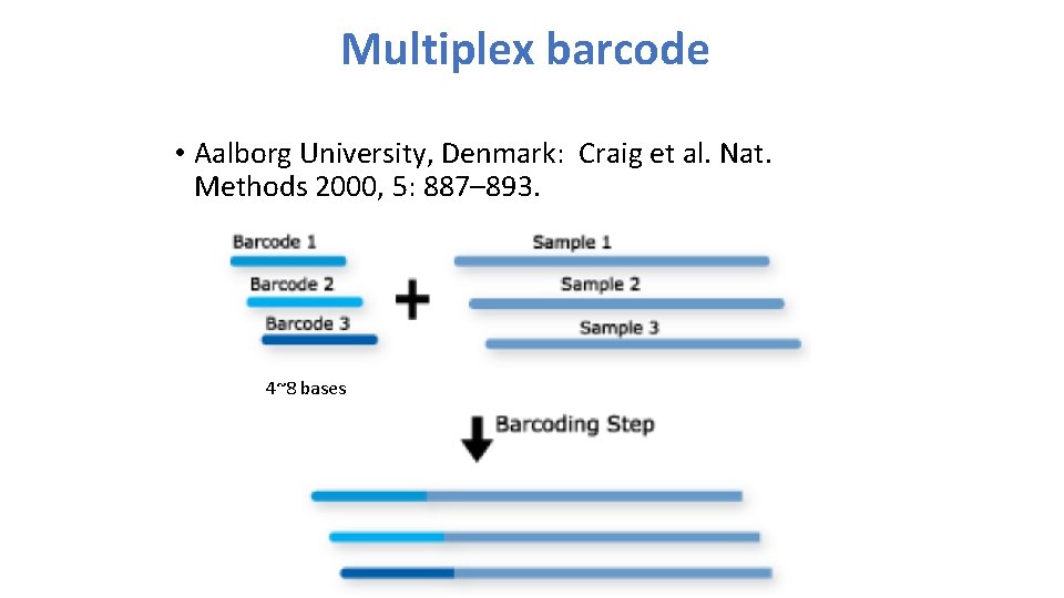Multiplex barcode • Aalborg University, Denmark: Craig et al. Nat. Methods 2000, 5: 887–
