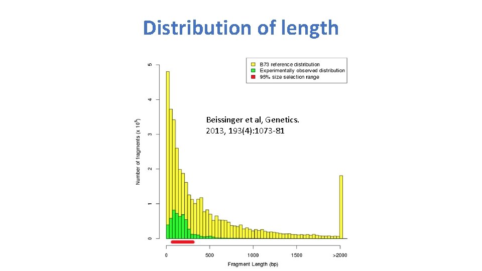 Distribution of length Beissinger et al, Genetics. 2013, 193(4): 1073 -81 