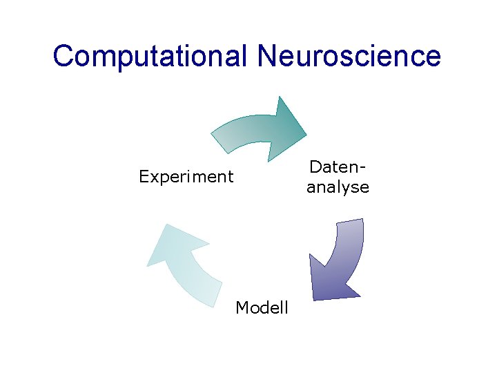 Computational Neuroscience Datenanalyse Experiment Modell 