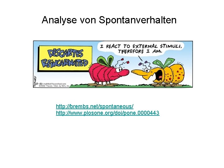 Analyse von Spontanverhalten http: //brembs. net/spontaneous/ http: //www. plosone. org/doi/pone. 0000443 