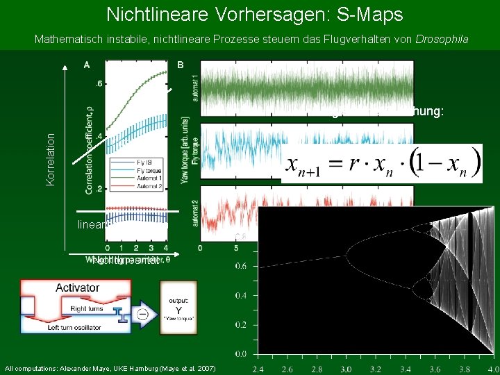 Nichtlineare Vorhersagen: S-Maps Mathematisch instabile, nichtlineare Prozesse steuern das Flugverhalten von Drosophila Korrelation Logistische