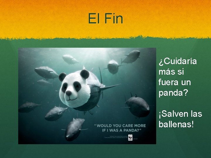 El Fin ¿Cuidaría más si fuera un panda? ¡Salven las ballenas! 