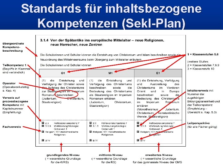 Standards für inhaltsbezogene Kompetenzen (Sek. I-Plan) 