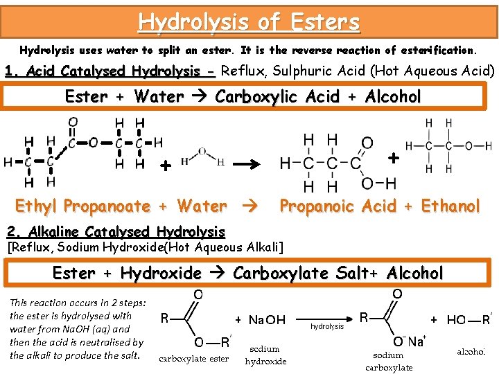 Hydrolysis of Esters Hydrolysis uses water to split an ester. It is the reverse