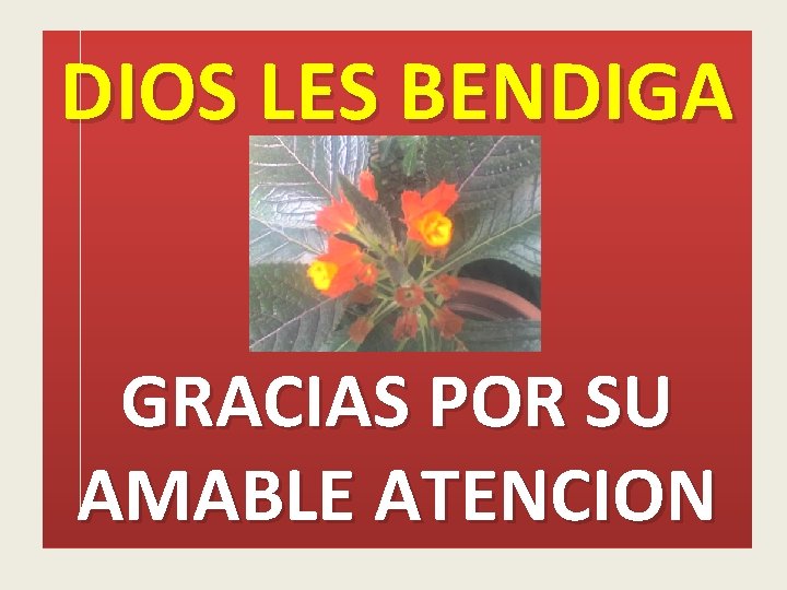 DIOS LES BENDIGA GRACIAS POR SU AMABLE ATENCION 