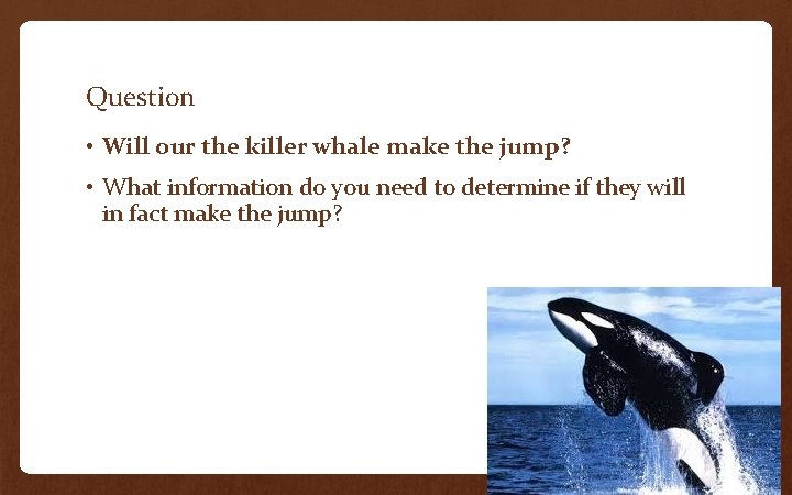 Question • Will our the killer whale make the jump? • What information do