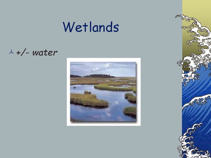 Wetlands ©+/- water 