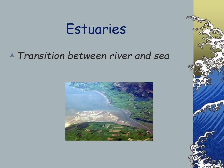 Estuaries ©Transition between river and sea 