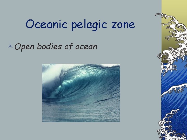 Oceanic pelagic zone ©Open bodies of ocean 
