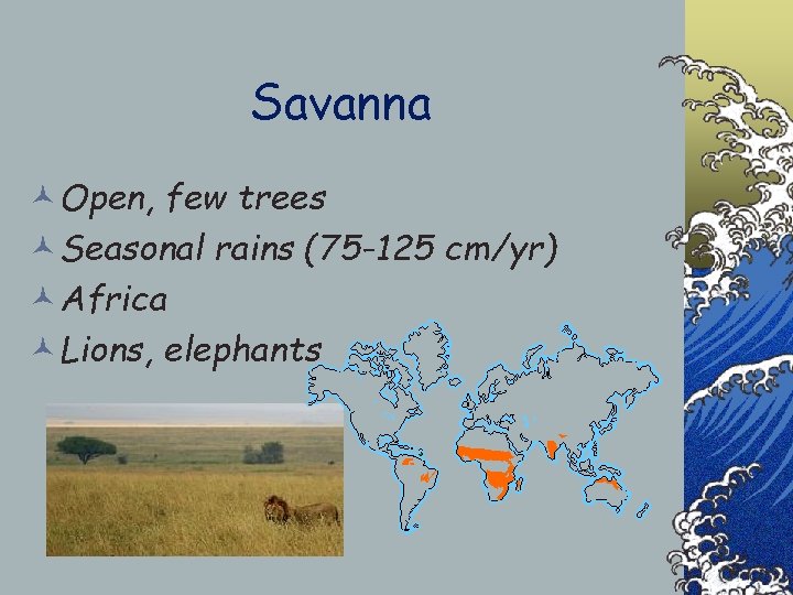 Savanna ©Open, few trees ©Seasonal rains (75 -125 cm/yr) ©Africa ©Lions, elephants 