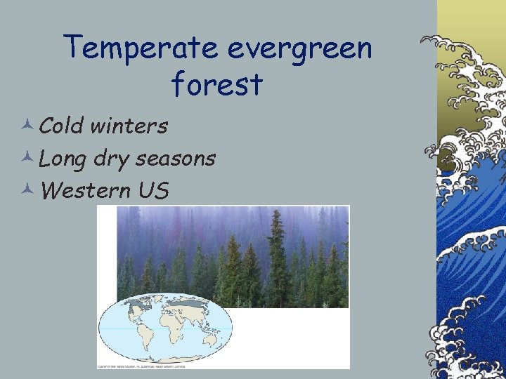Temperate evergreen forest ©Cold winters ©Long dry seasons ©Western US 