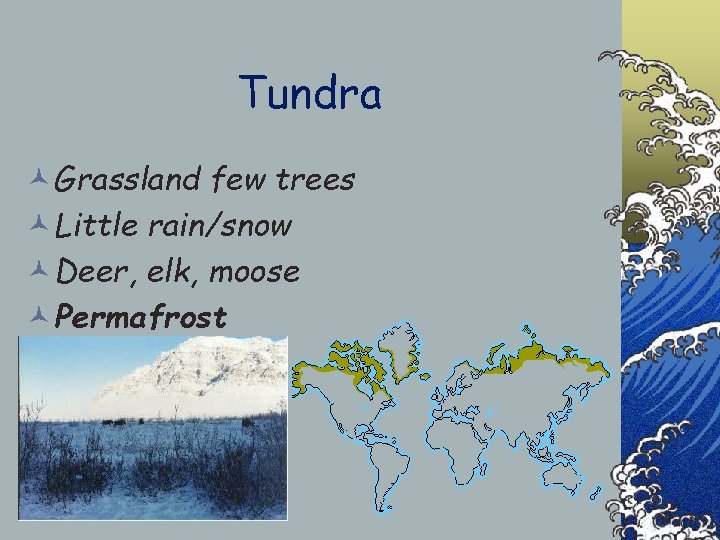 Tundra ©Grassland few trees ©Little rain/snow ©Deer, elk, moose ©Permafrost 