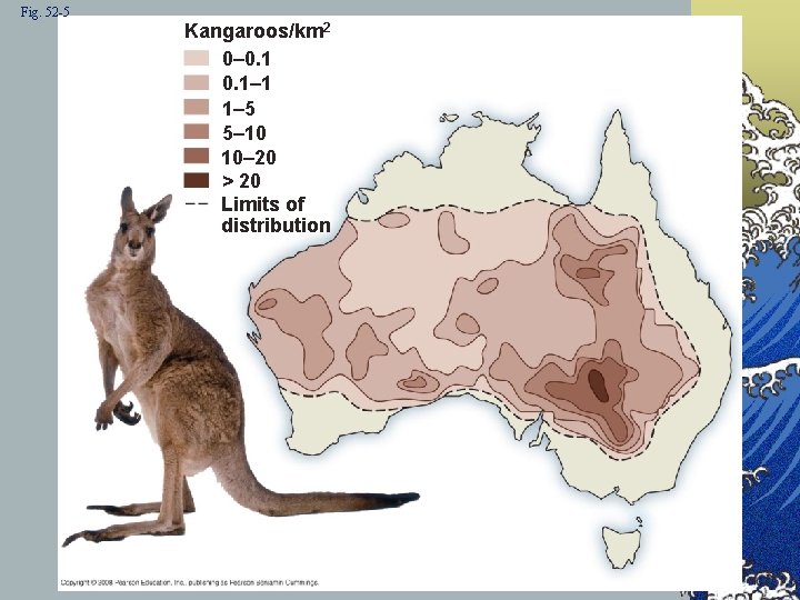 Fig. 52 -5 Kangaroos/km 2 0– 0. 1– 1 1– 5 5– 10 10–