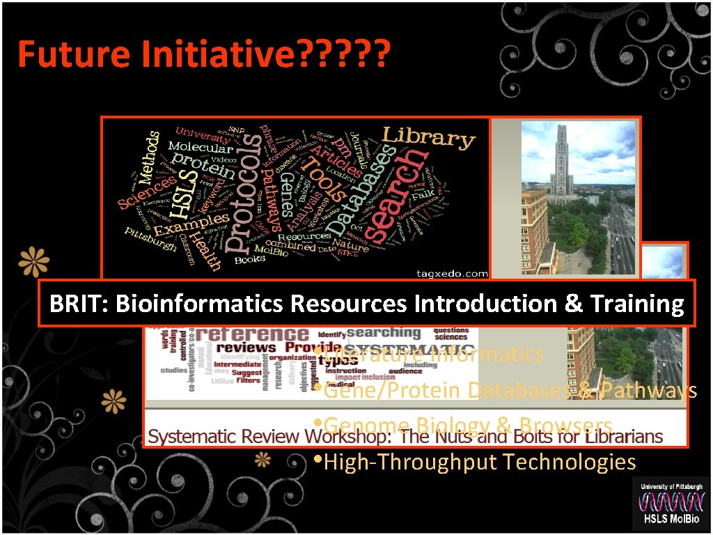 Future Initiative? ? ? BRIT: Bioinformatics Resources Introduction & Training • Literature Informatics •