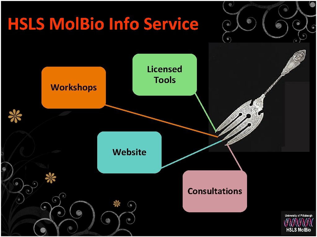 HSLS Mol. Bio Info Service Licensed Tools Workshops Website Consultations 