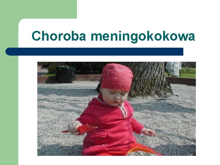 Choroba meningokokowa 