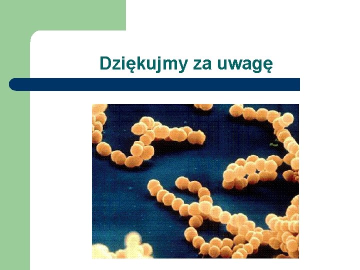 Dziękujmy za uwagę 