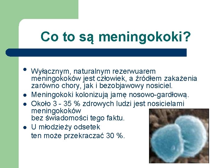 Co to są meningokoki? • l l l Wyłącznym, naturalnym rezerwuarem meningokoków jest człowiek,