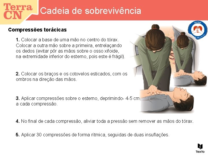 Cadeia de sobrevivência Compressões torácicas 1. Colocar a base de uma mão no centro