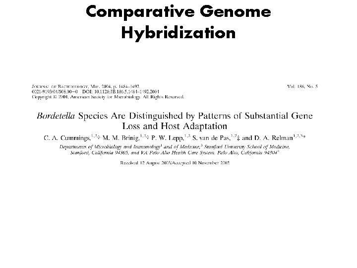Comparative Genome Hybridization 