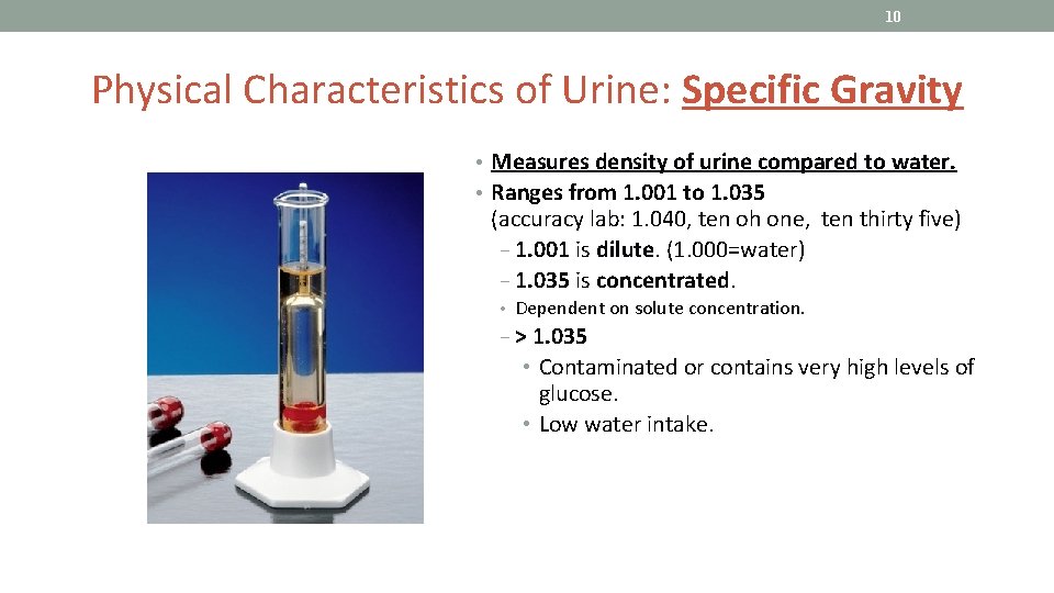 10 Physical Characteristics of Urine: Specific Gravity • Measures density of urine compared to