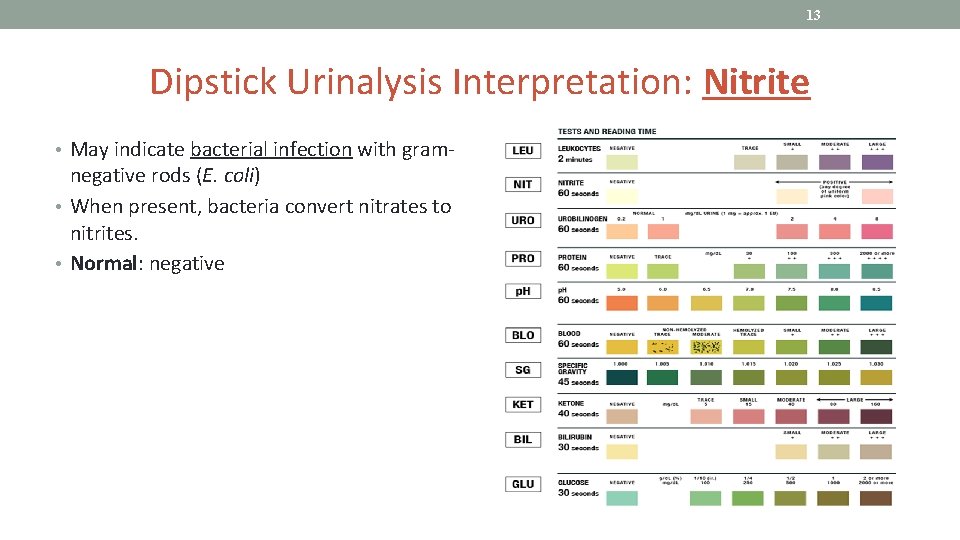 13 Dipstick Urinalysis Interpretation: Nitrite • May indicate bacterial infection with gram- negative rods