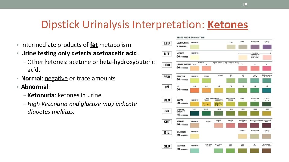 19 Dipstick Urinalysis Interpretation: Ketones • Intermediate products of fat metabolism • Urine testing
