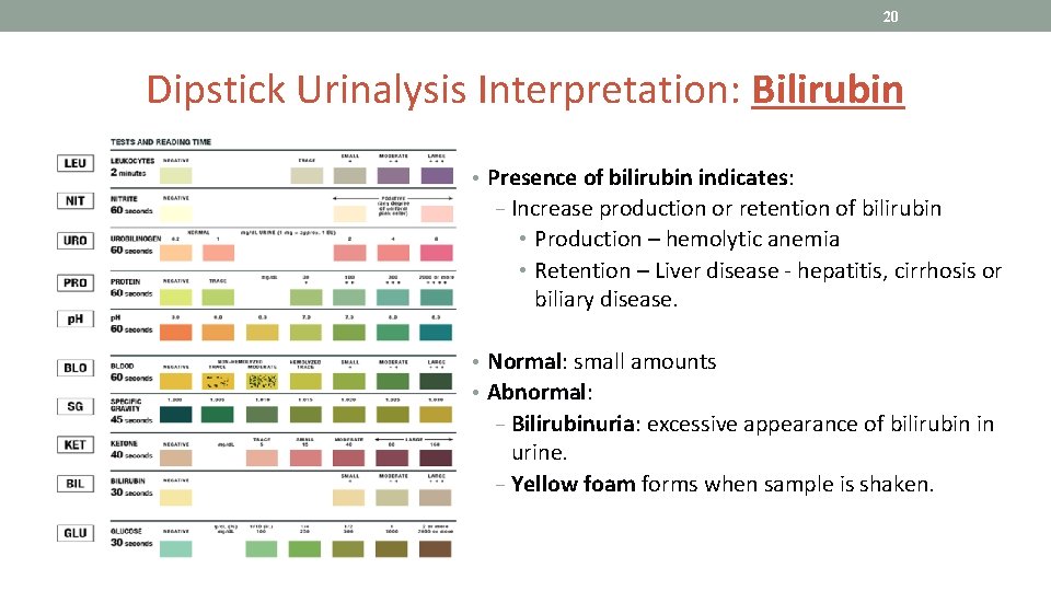 20 Dipstick Urinalysis Interpretation: Bilirubin • Presence of bilirubin indicates: − Increase production or