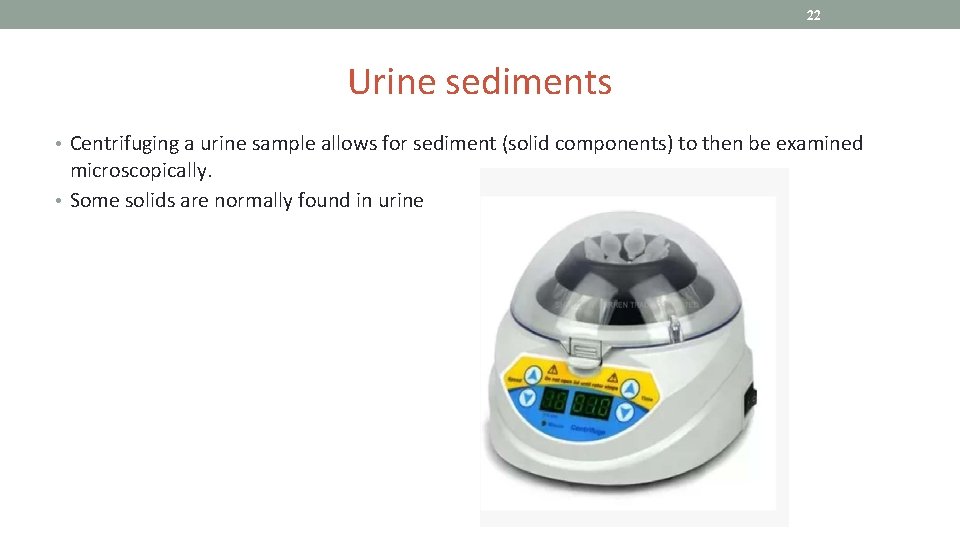 22 Urine sediments • Centrifuging a urine sample allows for sediment (solid components) to