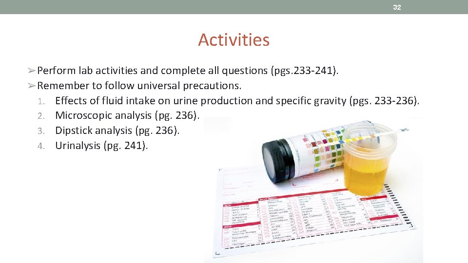 32 Activities ➢Perform lab activities and complete all questions (pgs. 233 -241). ➢Remember to